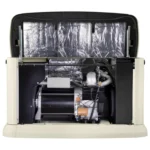 Generac Guardian 10kW Dual Fuel Home Standby Generator - Image 2